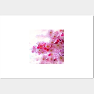 Cherry Blossoms So Pink Posters and Art